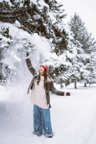 겨울에 유행하는 아름다운 컨셉트 — 스톡 사진