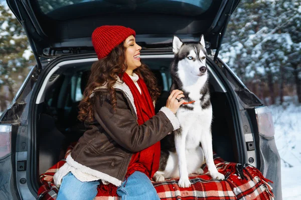 年轻女人和可爱的哈士奇狗在外面享受着进入车里的乐趣 旅行概念 — 图库照片
