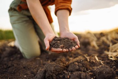 Uzman çiftçinin dişi eli bitkisel veya bitki tohumu yetiştirmeden önce toprak ve toprak sağlığını kontrol eder. Tarım, bahçıvanlık veya ekoloji kavramı.