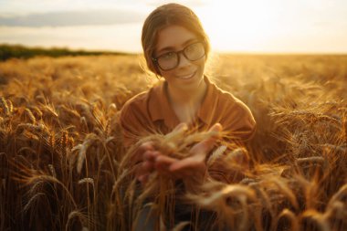 Çiftçi kadın buğday tarlasında buğday tarlasını kontrol ediyor. Hasat. Tarım işi..