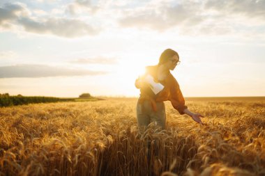 Çiftçi kadın buğday tarlasında buğday tarlasını kontrol ediyor. Hasat. Tarım işi..