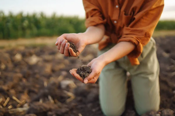 전문적 농부의 핸드는 식물이나 식물의 씨앗을 키우기 토양을 모으고 토양의 — 스톡 사진