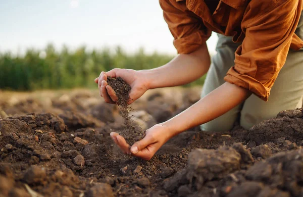 Női Kéz Szakértő Mezőgazdasági Termelő Összegyűjti Talajt Ellenőrzi Talaj Egészségét — Stock Fotó
