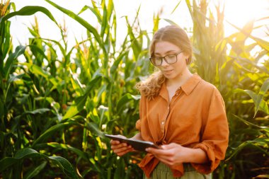 Farmer- woman standing in corn field examining crop. Harvest care concept.
