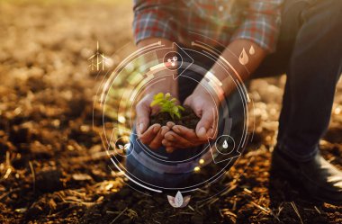 Young plant in hands with soil with graphic concepts. Monitoring the growth of sprougt plants. Modern Agricultural Information Technology Integrate concept.