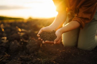Female hands checking soil health before growth a seed of vegetable or plant seedling. Business or ecology concept.