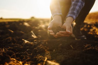 Female hands checking soil health before growth a seed of vegetable or plant seedling. Business or ecology concept.