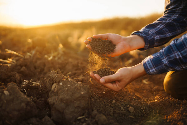 Expert hand of farmer checking soil health before growth a seed of vegetable or plant seedling. Business or ecology concept.