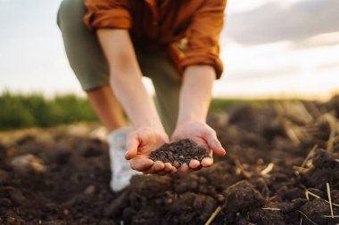 Expert hand of farmer woman  checking soil health before growth a seed of vegetable or plant seedling. Agriculture, gardening or ecology concept.