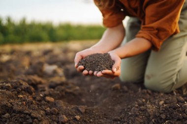 Expert hand of farmer woman  checking soil health before growth a seed of vegetable or plant seedling. Agriculture, gardening or ecology concept.