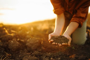 Dişi eller sahada toprağa dokunuyor. Tarım, bahçıvanlık veya ekoloji kavramı