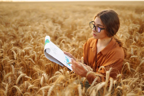 Une Agricultrice Dans Champ Blé Contrôle Qualité Blé Concept Agriculture — Photo