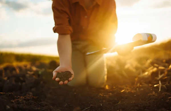 Vrouwelijke Handen Raken Grond Het Veld Begrip Landbouw Tuinbouw Ecologie — Stockfoto