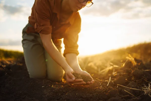 Samičí Ruce Dotýkají Půdy Hřišti Koncept Zemědělství Zahradnictví Nebo Ekologie — Stock fotografie