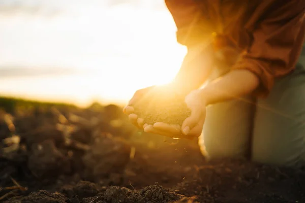 stock image Female hands touching soil on the field. Agriculture, gardening or ecology concept