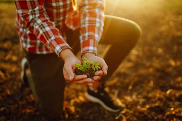 stock image Hands touching soil on the field and checking soil health before growth a seed of vegetable or plant seedling. Business or ecology concept.