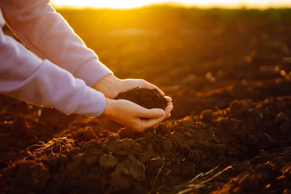 stock image Hands touching soil on the field and checking soil health before growth a seed of vegetable or plant seedling. Business or ecology concept.