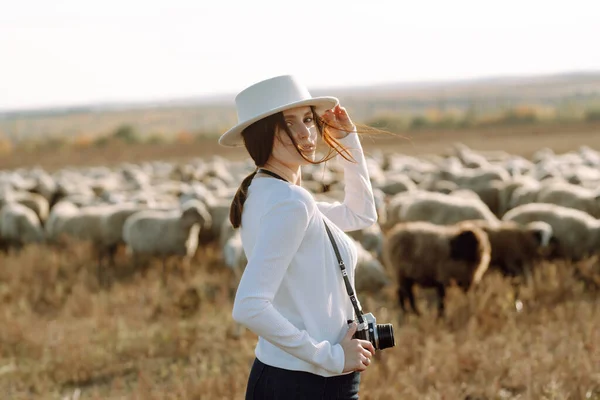Jonge Vrouw Met Een Camera Voor Een Kudde Schapen Natuur — Stockfoto