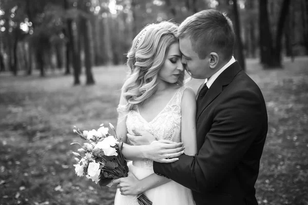 在婚礼当天在公园里摆姿势的一对幸福的新婚夫妇 完美夫妇新娘 新郎摆姿势和亲吻 — 图库照片