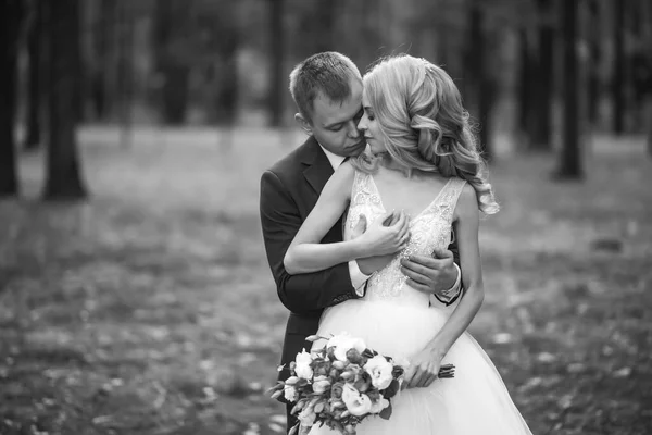 在婚礼当天在公园里摆姿势的一对幸福的新婚夫妇 完美夫妇新娘 新郎摆姿势和亲吻 — 图库照片