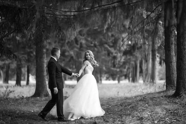 Stylový Dva Šťastní Novomanželé Pózuje Parku Jejich Svatební Den Perfektní — Stock fotografie