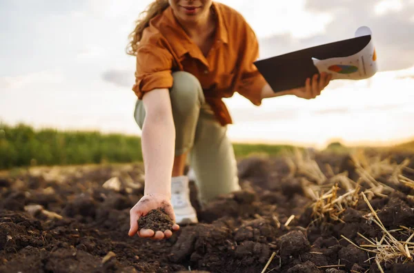 Женские Руки Касаются Земли Поле Идея Богатого Урожая — стоковое фото