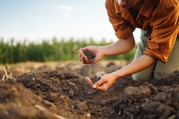 Female Hands Touching Soil Field Idea Rich Harvest — Stock Photo, Image