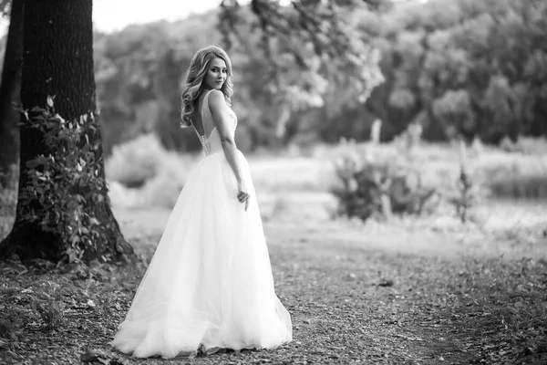 Fekete Fehér Fotó Gyönyörű Menyasszony Fehér Ruhában Egy Séta Parkban — Stock Fotó