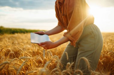 Tablet bir kadın çiftçinin elinde. Akıllı çiftlik. Zengin bir hasat fikri.