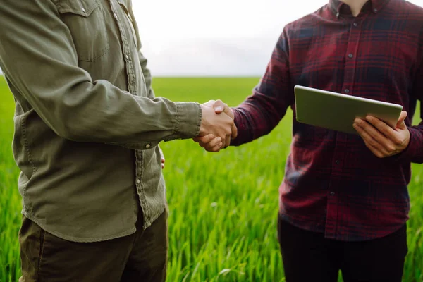 农民在田里用触摸板检查小麦品质 两个农民在绿地里握手表示同意 农业企业的概念 — 图库照片