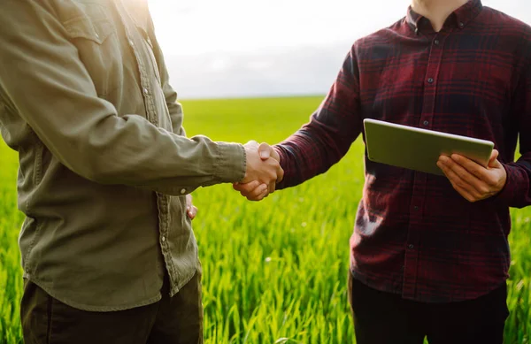 农民在田里用触摸板检查小麦品质 两个农民在绿地里握手表示同意 农业企业的概念 — 图库照片