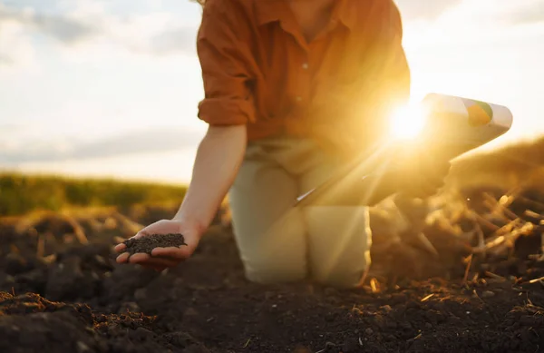Woman Farmer Hand Touch Soil Check Its Health Growing Plants — Stock Photo, Image