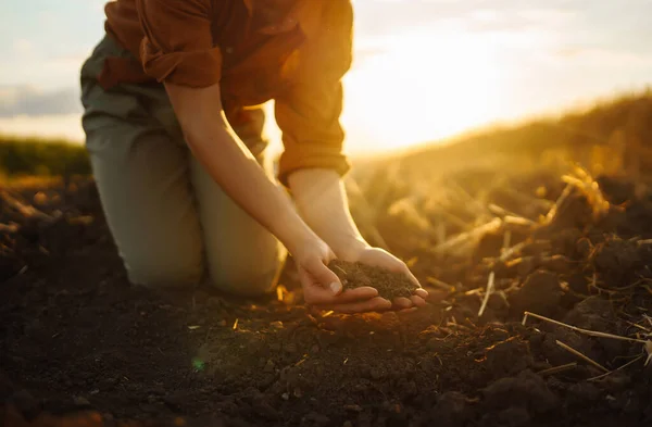 Žena Farmář Ruku Dotknout Půdy Zkontrolovat Její Zdraví Před Pěstováním — Stock fotografie