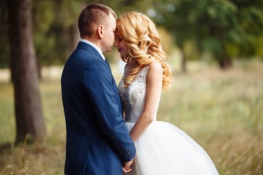 Genç, mutlu, yeni evli çiftler düğün günlerinde parkta yürüyorlar. Damat ve gelin düğün günlerinde sarılıp öpüşürler. Genç bir aile. Düğün konsepti..