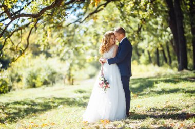 Genç, mutlu, yeni evli çiftler düğün günlerinde parkta yürüyorlar. Damat ve gelin düğün günlerinde sarılıp öpüşürler. Genç bir aile. Düğün konsepti..