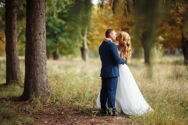 Jovens Recém Casados Românticos Felizes Estão Andando Parque Dia Casamento — Fotografia de Stock