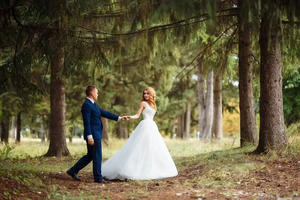 Unga Glada Romantiska Nygifta Går Parken Sin Bröllopsdag Brudgummen Och — Stockfoto