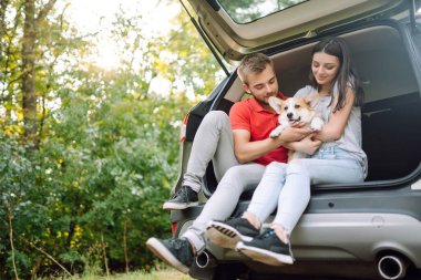Köpekli sevimli genç bir çift arabanın arka koltuğunda oturuyor. Bir kadınla ve sevgili köpeğiyle seyahat eden mutlu bir adam. Aktif yaşam tarzı kavramı, seyahat, hafta sonu, rahatlama.
