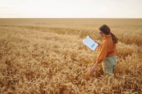 Mladá Agronomka Pšeničném Poli Tabulkou Ruce Kontroluje Výtěžek Zemědělec Hodnotí — Stock fotografie