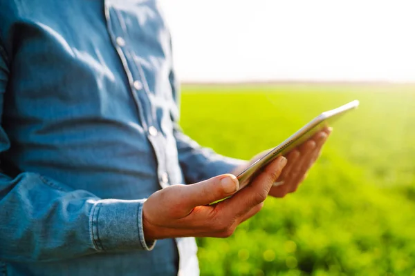 Hoofdboer Met Een Digitale Tablet Een Groen Veld Agronomist Controleert — Stockfoto