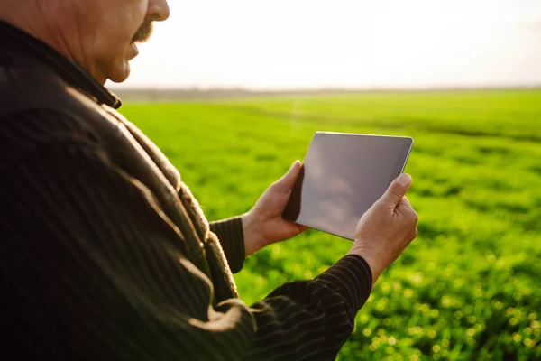 Chief farmer with a digital tablet on a green field. Agronomist checks the harvest in the agricultural field. Checking the field of wheat. Smart farm. Agribusiness.
