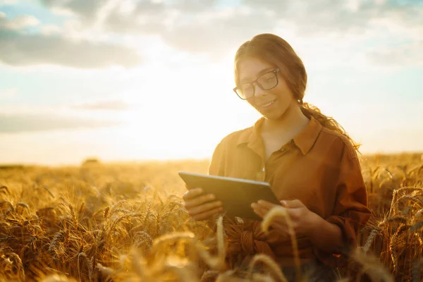 一个年轻的农妇在一个金色的麦田里 带着剪贴板检查庄稼的生长和质量 增长动力 农业或园艺概念 — 图库照片