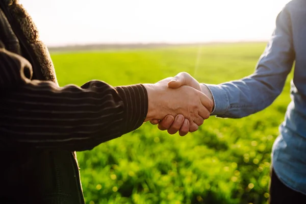 Διαπραγμάτευση Δύο Αγρότες Συμφωνούν Δίνοντας Χέρια Ένα Χωράφι Πράσινο Σιτάρι — Φωτογραφία Αρχείου