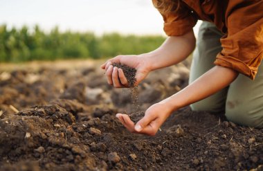 Kadın çiftçinin eli sebze tohumu ya da fide yetiştirmeden önce toprağı kontrol eder. Elinde dosya olan deneyimli bir çiftçinin eli toprağı topluyor. Ekoloji ve bahçecilik kavramları.