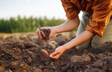 Kadın çiftçinin eli sebze tohumu ya da fide yetiştirmeden önce toprağı kontrol eder. Elinde dosya olan deneyimli bir çiftçinin eli toprağı topluyor. Ekoloji ve bahçecilik kavramları.