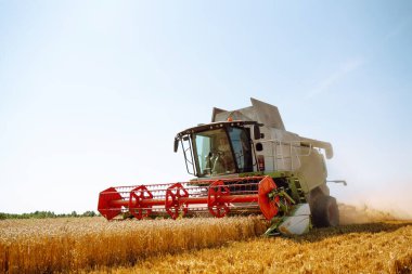 Modern endüstriyel hasatçıları birleştirerek bir yaz günü buğday gevreği hasat ederler. Tahıl hasatçısı. Tarım, bahçıvanlık kavramı. Hasat zamanı.!