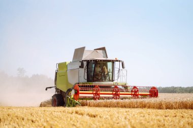 Modern endüstriyel hasatçıları birleştirerek bir yaz günü buğday gevreği hasat ederler. Tahıl hasatçısı. Tarım, bahçıvanlık kavramı. Hasat zamanı.!