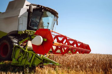 Modern endüstriyel hasatçıları birleştirerek bir yaz günü buğday gevreği hasat ederler. Tahıl hasatçısı. Tarım, bahçıvanlık kavramı. Hasat zamanı.!