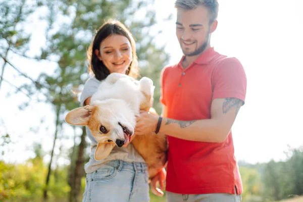 Young Couple Together Beloved Pet Walk Sunny Day Happy Man — Stock Photo, Image