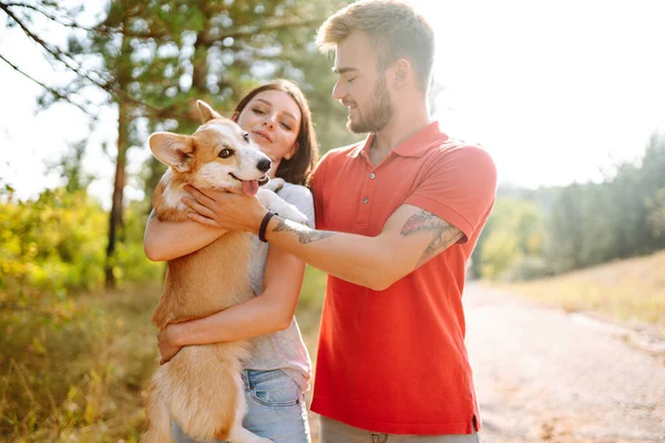 晴れた日の散歩で彼らの最愛のペットと一緒に若いカップル 幸せな男と女が一緒にコルギ犬を持っています アクティブなライフスタイル 愛と休暇の概念 — ストック写真